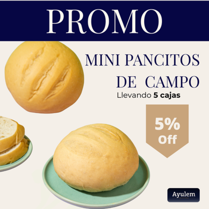 Promo 5 Cajas Mini Pancitos de Campo
